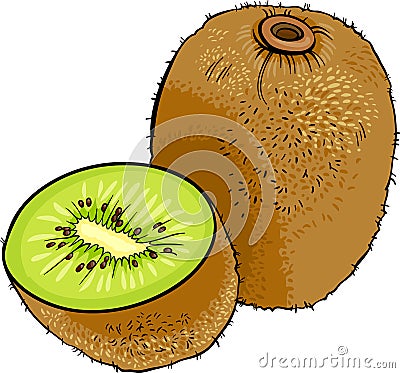 Kiwi fruit cartoon illustration Vector Illustration