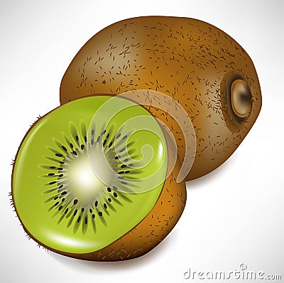 Kiwi fruit and slice Vector Illustration