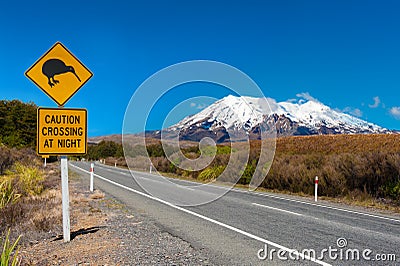 Kiwi and mount Ruapehu Stock Photo