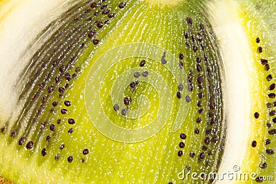 Kiwi slice Stock Photo