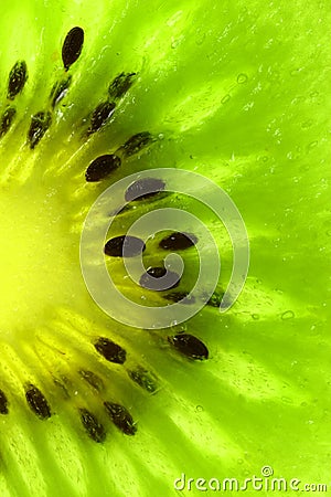 Kiwi Slice Stock Photo