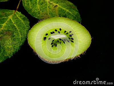 Kiwi slice Stock Photo