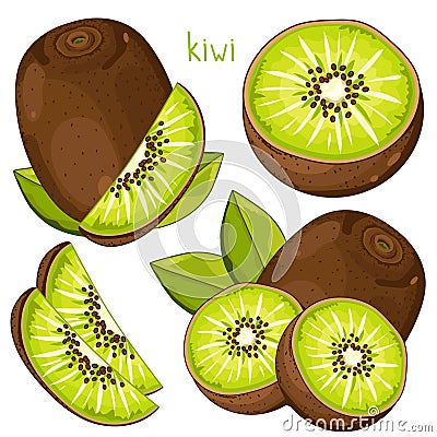 Kiwi , Vector. Vector Illustration