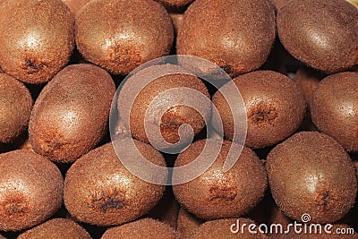 Kiwifruit Stock Photo