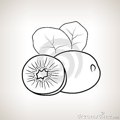 Kiwifruit in the Contours Vector Illustration