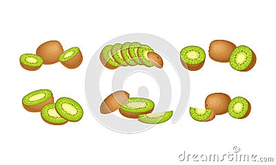 Kiwifruit or Kiwi as Edible Berry with Fibrous Brown Skin and Green Flesh with Tiny Black Seeds Vector Set Vector Illustration