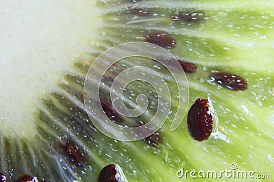 Kiwifruit macro Stock Photo
