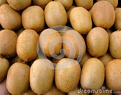 Kiwis 1 Stock Photo