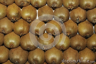 Kiwis Stock Photo