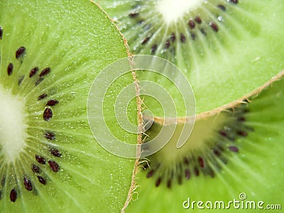 Kiwis Stock Photo