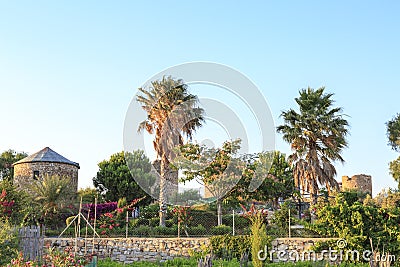 Kizlan windmills with palm trees in Datca, Mugla, Turkey Stock Photo