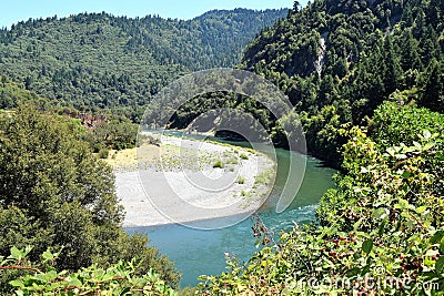 Klamath River, Oregon, Curves amid Deep Forest with Berry Bushes in Foreground Stock Photo