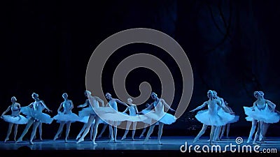 Klassisches Ballett Swan See stock video Klassisches Ballett Swan See stock video