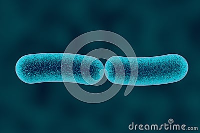 Klebsiella bacteria, rod-shaped diplobacilli Cartoon Illustration