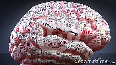 Kleine levin syndrome and a human brain Stock Photo