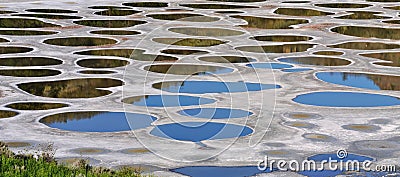 Klikuk, Spotted lake in Osoyoos, BC Stock Photo