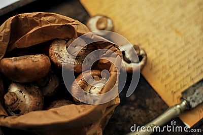 0 km living, home cooking from scraps concept with fresh mushrooms and recipe Stock Photo