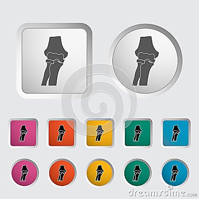 Knee-joint single icon. Vector Illustration