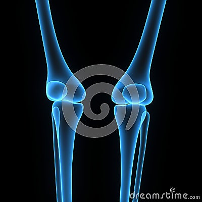 Knee joints Stock Photo