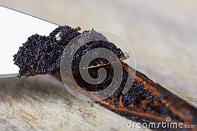 Knife cutting vanilla beans seed pods Stock Photo