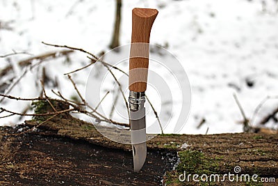 a knife is stuck on an old lying tree in winter in the forest Stock Photo