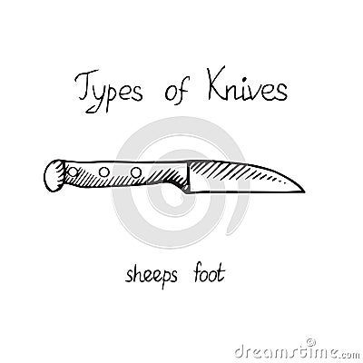 Knife types, sheep`s foot, vector outline illustration with inscription Vector Illustration