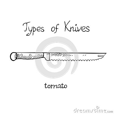 Knife types, tomato, vector outline illustration with inscription Vector Illustration