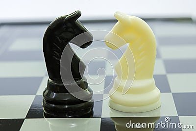 Knight black and white on the chess Stock Photo