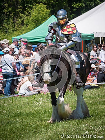 Knight on horseback Editorial Stock Photo