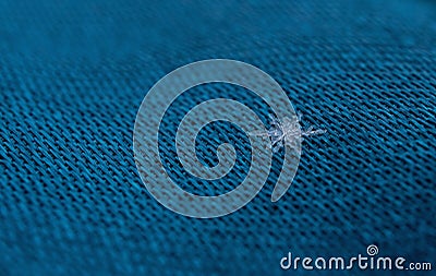 Knitted blue texture fabric with natural crystal snowflake background close-up macro Stock Photo