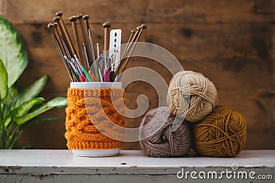 Knitting Needles Storage Stock Photo