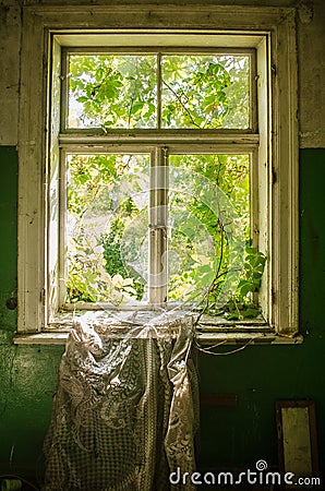 Knocked out abandoned house window with torn curtains and wild wines Stock Photo