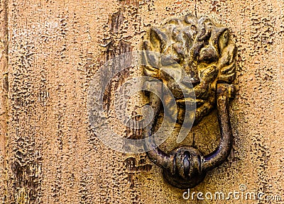 Knocker lion head Stock Photo