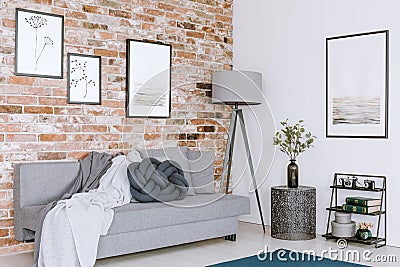 Gallery in cozy living room Stock Photo