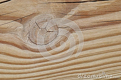 Knot in wood Stock Photo