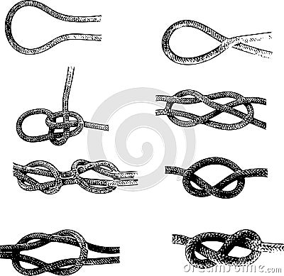 Knots Stock Photo