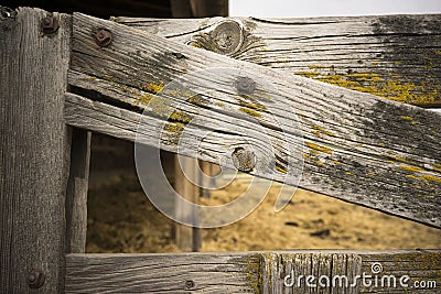 Knotty Fence Gate Farm Barn Wood Grain Moss Stock Photo