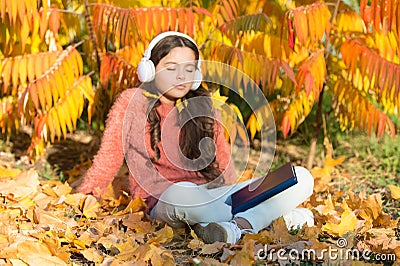 Knowledge assimilate better this way. Small girl enjoy learning online in autumn environment. Little child listening to Stock Photo