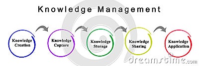 Knowledge Management Stock Photo