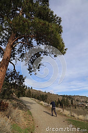 A walking trail with blue sky, at Knox mountain park in Canada Editorial Stock Photo