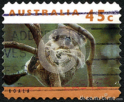 Koala Australian Postage Stamp Editorial Stock Photo