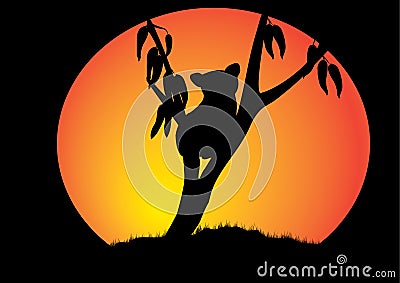 Silhouette of a koala in the circle of the moon Vector Illustration