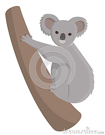 Koala climbing tree. Vector Illustration