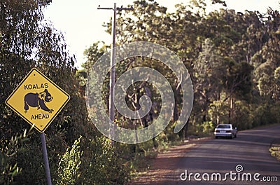 Koala crossing road sign, Australia Stock Photo