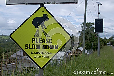 Koala crossing warning sign Editorial Stock Photo