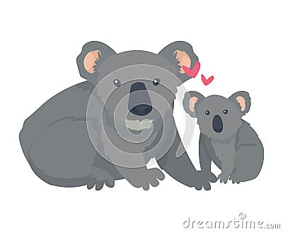 koala mother and baby Stock Photo