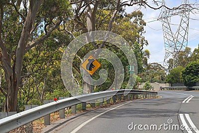 Koala traffic warning sign at a road with power pole in the distance Stock Photo