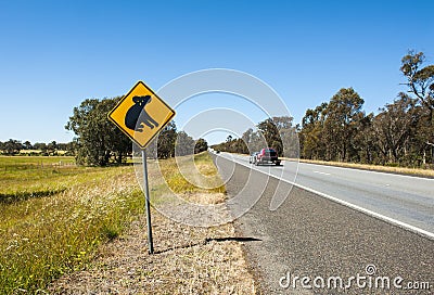 Koala warning Stock Photo