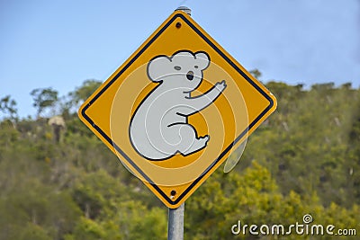 Koala warning sign in Queensland, Australia Stock Photo