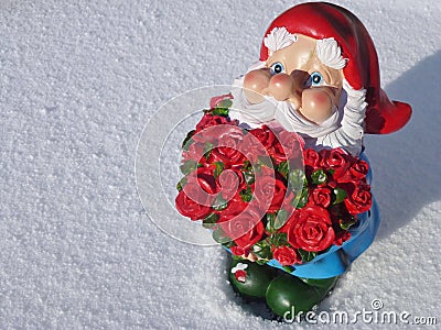 A kobold with flowers in winter Stock Photo